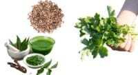 Overcoming Liver Diseases the Natural Way with Ayurveda