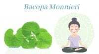 Bacopa: Salient Brain Food for Clear Thought