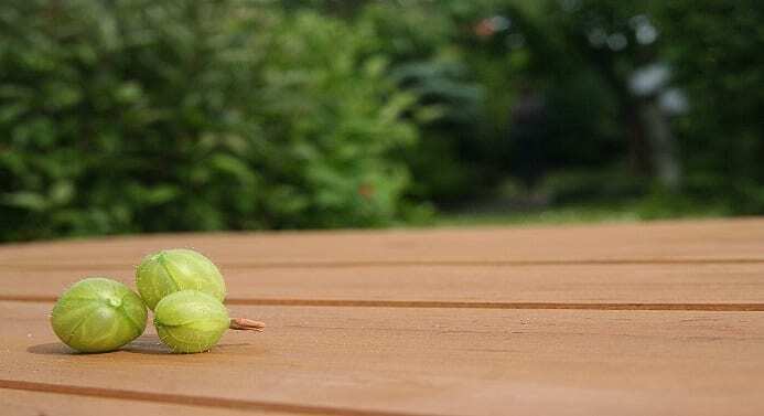 Must Known Various Health Advantages of Amla